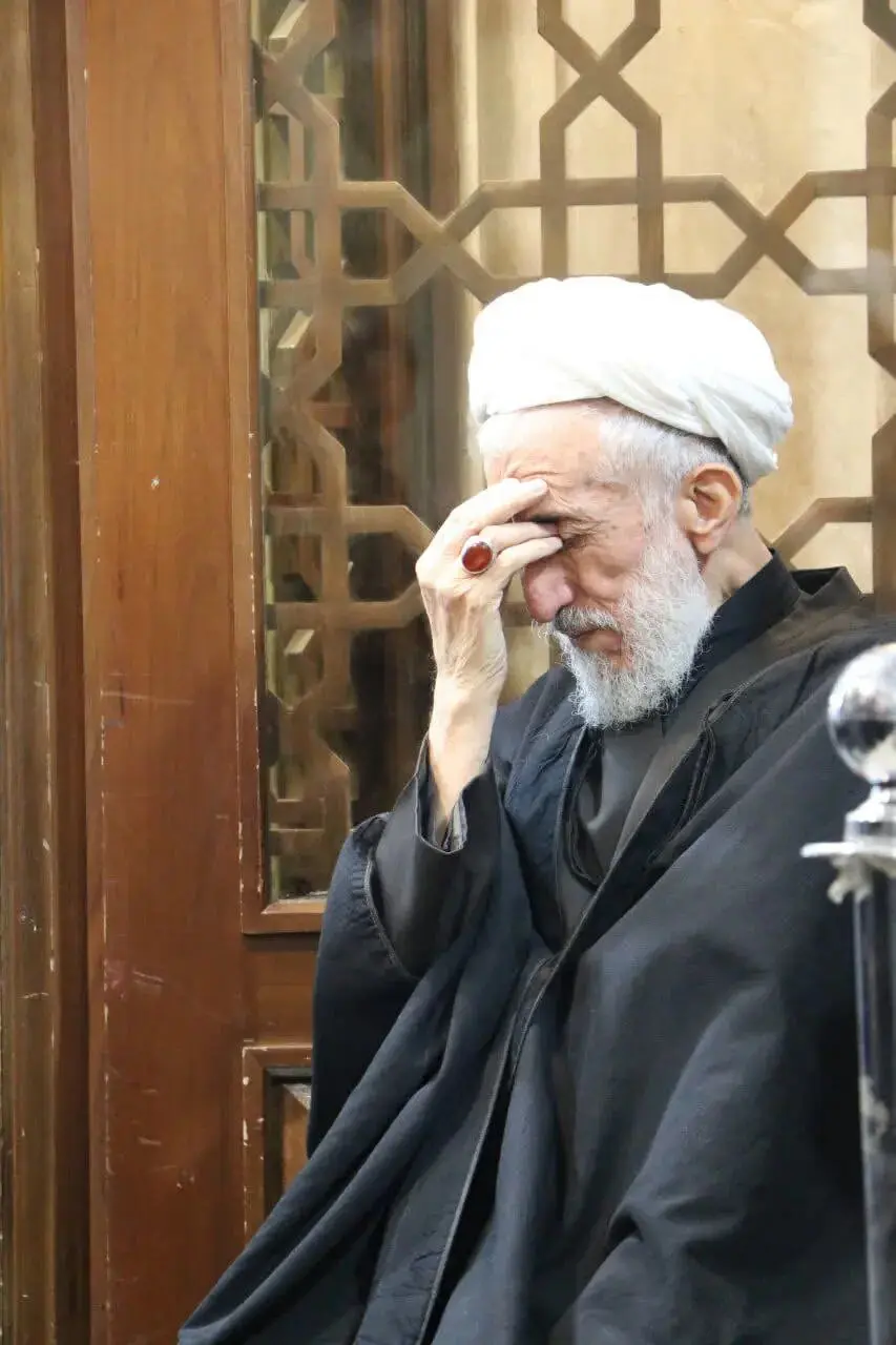 محمدمهدی صدیقی (4)