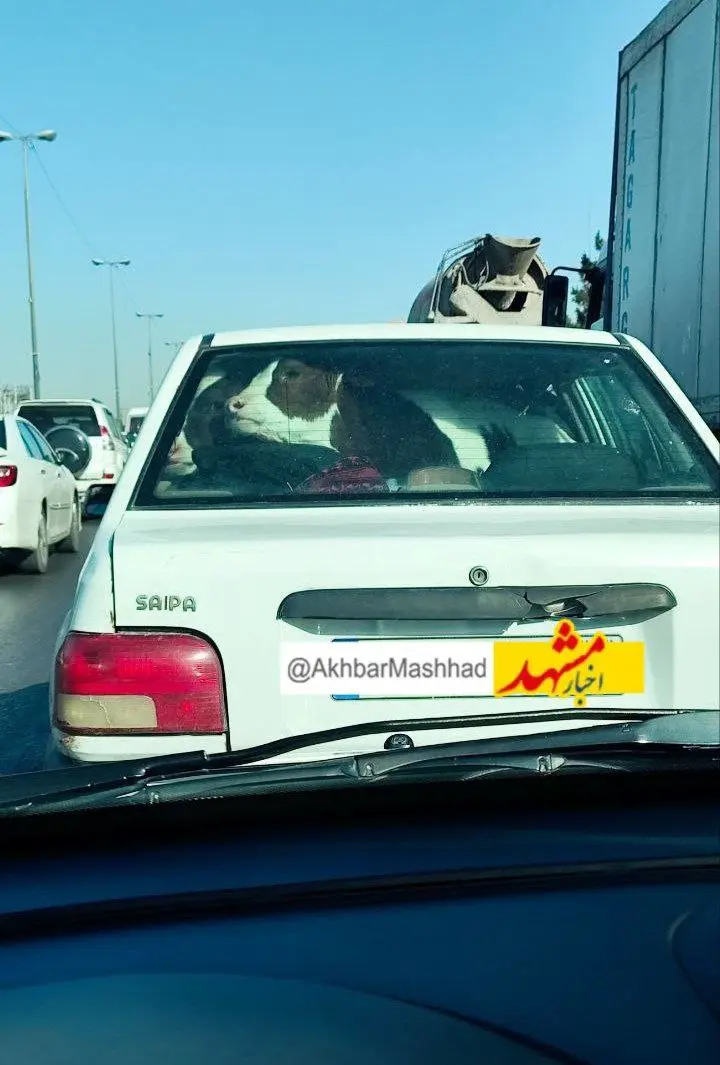 وحشتناک