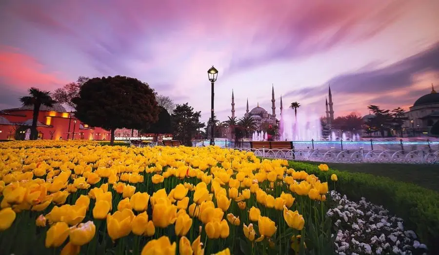 چرا باید در فصل بهار به ترکیه سفر کنیم؟|ترکیه ترکیه در بهار سفر به ترکیه در  بهار گردشگری ترکیه سفرمی| مجله خبری سفرمی