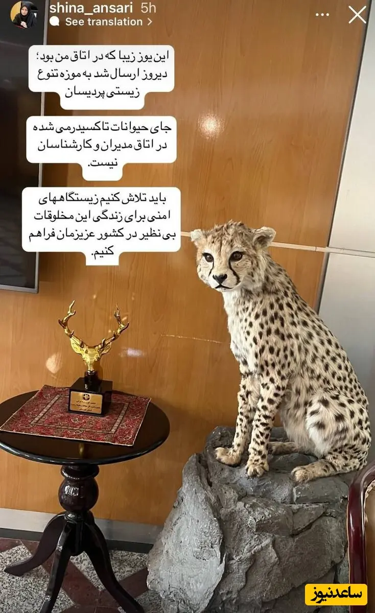 یوز ایرانی