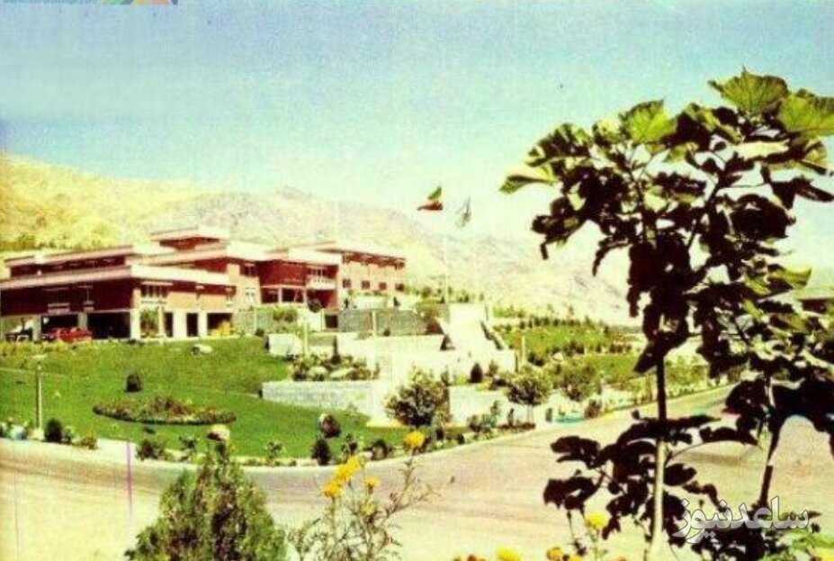 درختان دانشگاه بهشتی