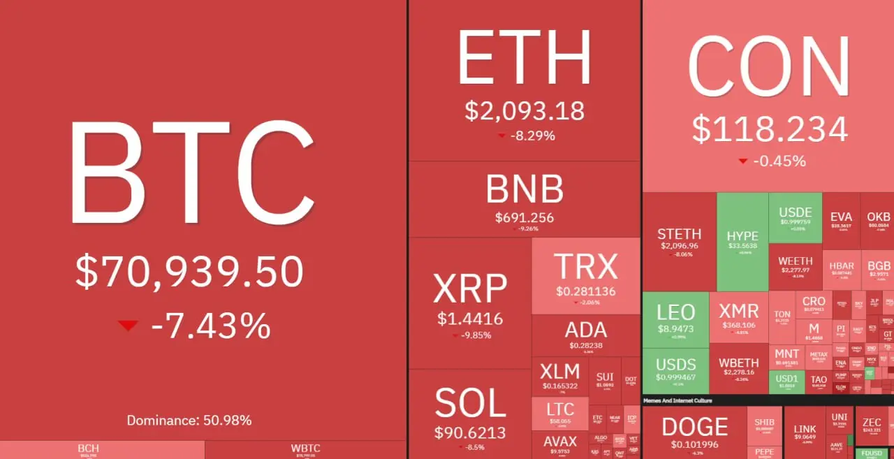 IMG_20260205_093113_133