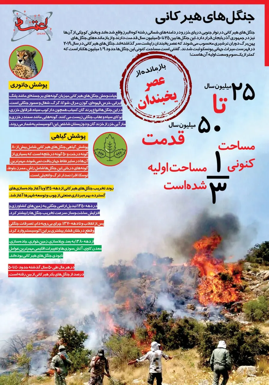 اینفوگرافی جنگل های هیرکانی