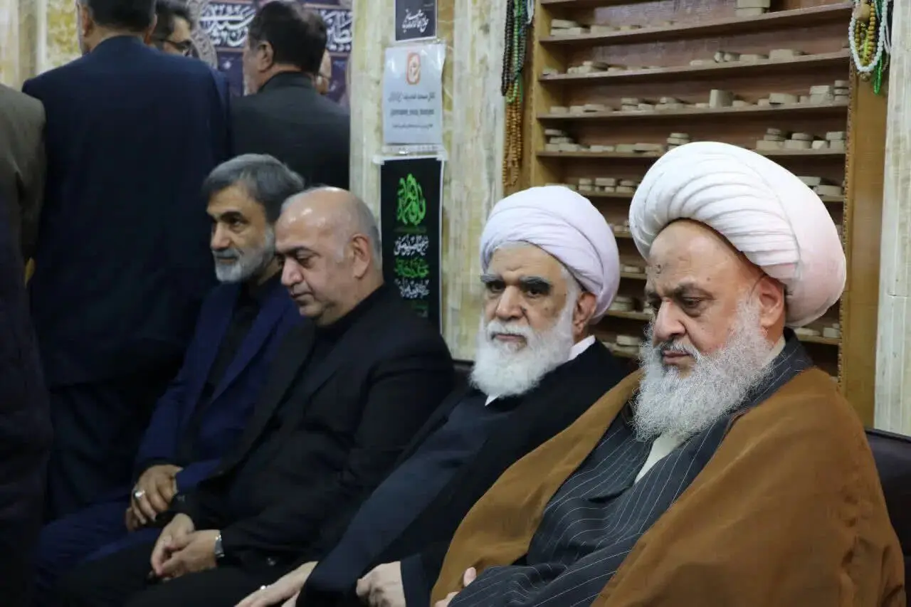 محمدمهدی صدیقی (3)