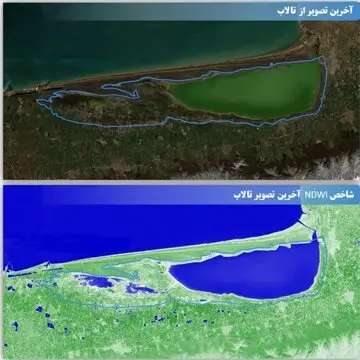 میانکاله