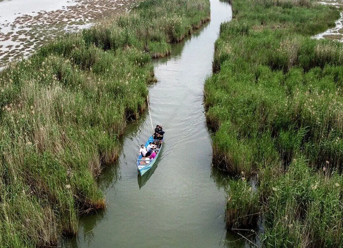 هشت تکنسین نفت از باتلاقی در شادگان نجات یافتند