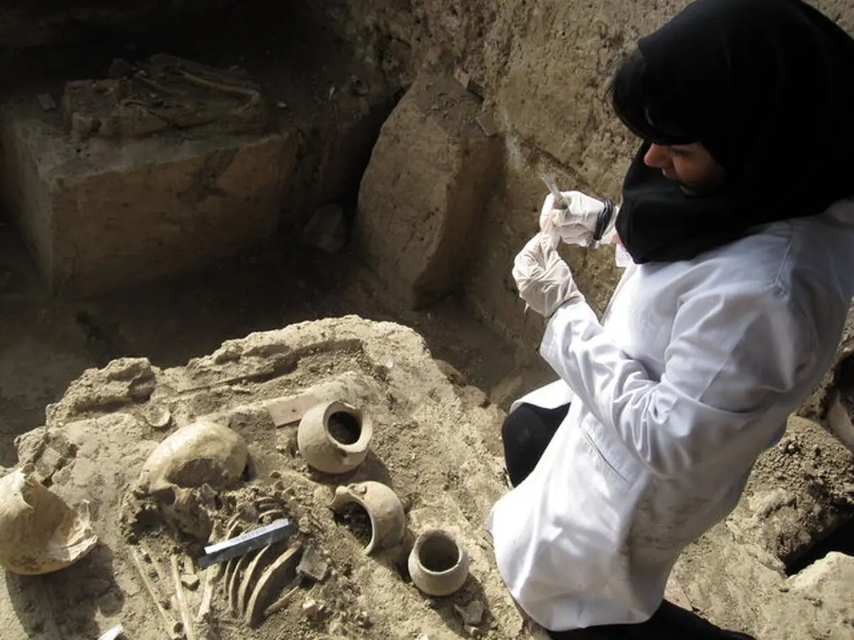 برنامه دانشگاه تهران برای راه اندازی رشته "باستان‌سنجی"