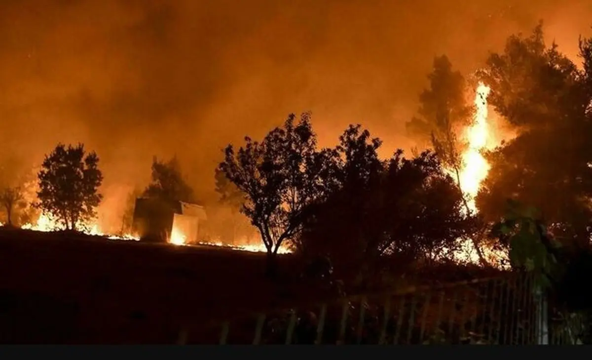 اطفای کامل حریق در عرصه جنگلی «نیلکوه»/ ۵ هکتار بیشه‌زار در آتش سوخت