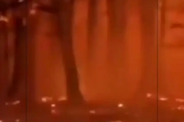 ببینید | آتش‌سوزی جنگل‌های هیرکانی در شرق گلستان؛ وزش باد مهار آتش را سخت و کُند کرده