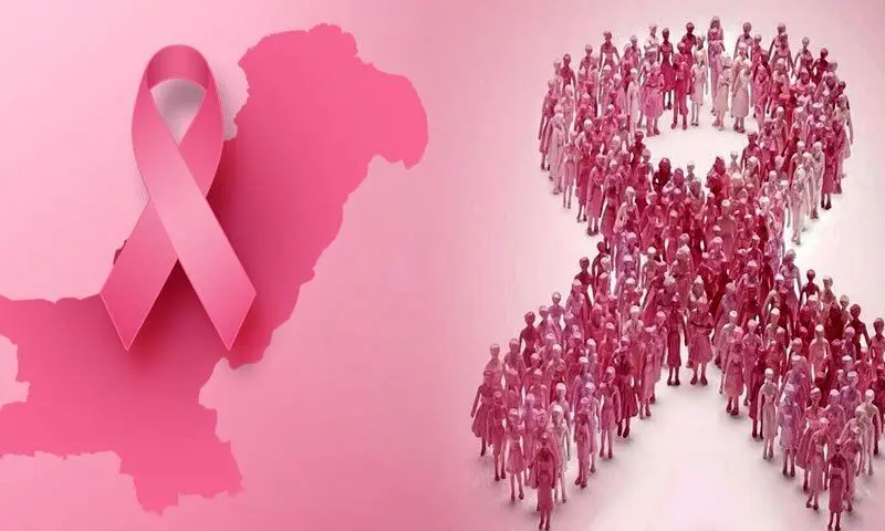 سينه،سرطان،نفيسي،نوين،بيماري،زنان