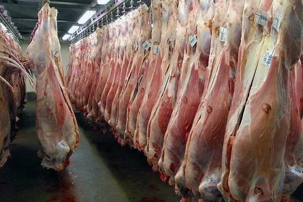 نیاز کشور به گوشت قرمز نصف شد؛ کاهش سرانه مصرف از ۱۲ به ۶ کیلوگرم