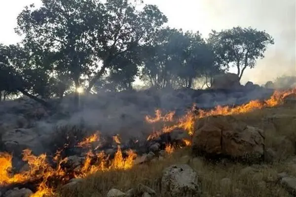 ورود دادستانی به آتش سوزی جنگل‌های الیت؛ سازمان محیط زیست باید در این جنگل دوربین‌های تله‌ای تعبیه و محل را کنترل می‌کرد