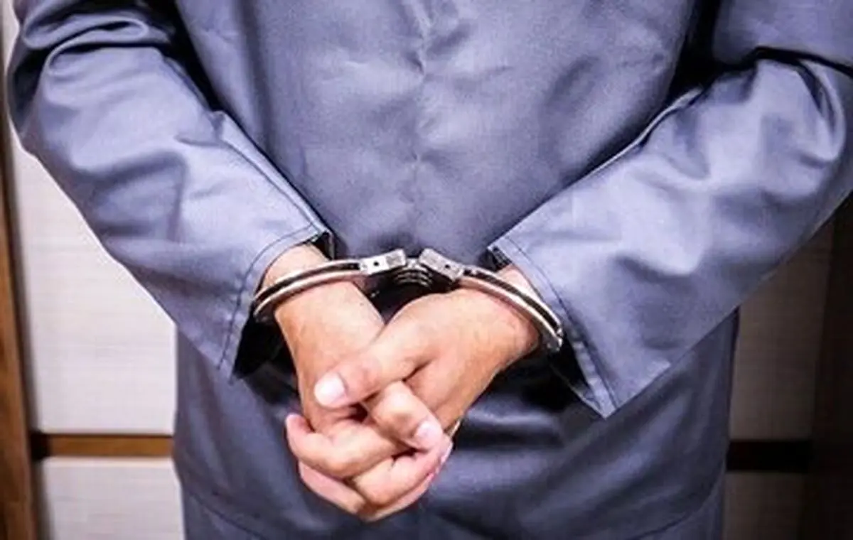 بازداشت یک فرد دوتابعیتی توسط سازمان اطلاعات سپاه به اتهام ساماندهی خرابکاری