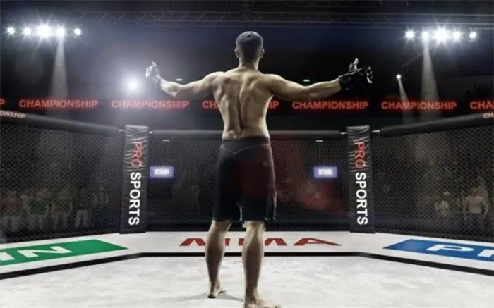 برگزاری مسابقات MMA برای اولین بار در ایران/ زمان و مکان رقابت‌ها مشخص شد