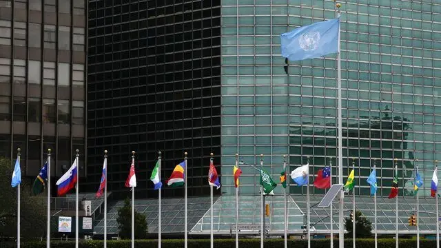 كميسيون،اجتماعي،سازمان،متحد،ملل،توسعه