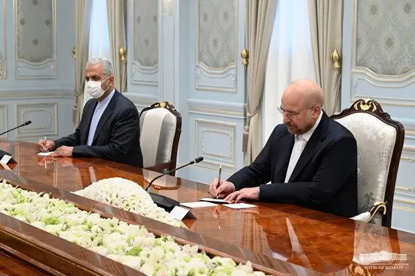 گسترش همکاری‌ها محور دیدار رئیس مجلس شورای اسلامی با رئیس جمهور ازبکستان