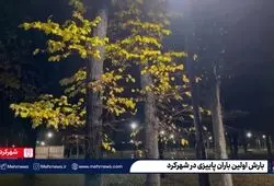 ببینید| بارش اولین باران پاییزی در شهرکرد