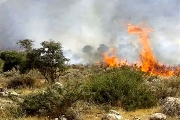 آخرین وضعیت آتش‌سوزی جنگل‌های الیت چالوس؛ ۸۰ درصد آتش‌سوزی مهار شده است