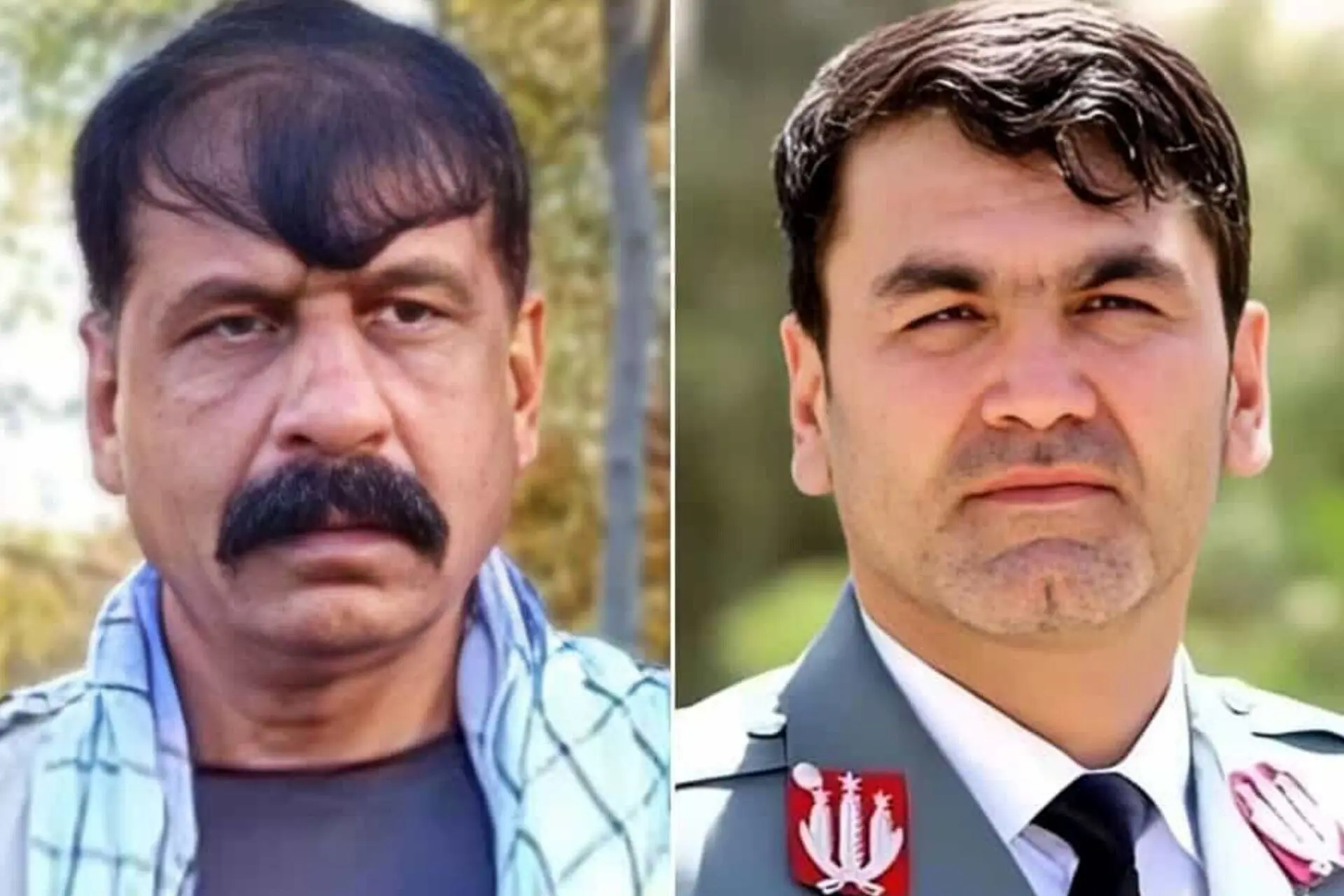 امنيت،قرار،سوءقصد،جامعه،عنوان