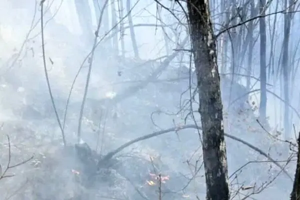 آتش‌سوزی جنگلهای دیزمار آذربایجان شرقی مهار شد