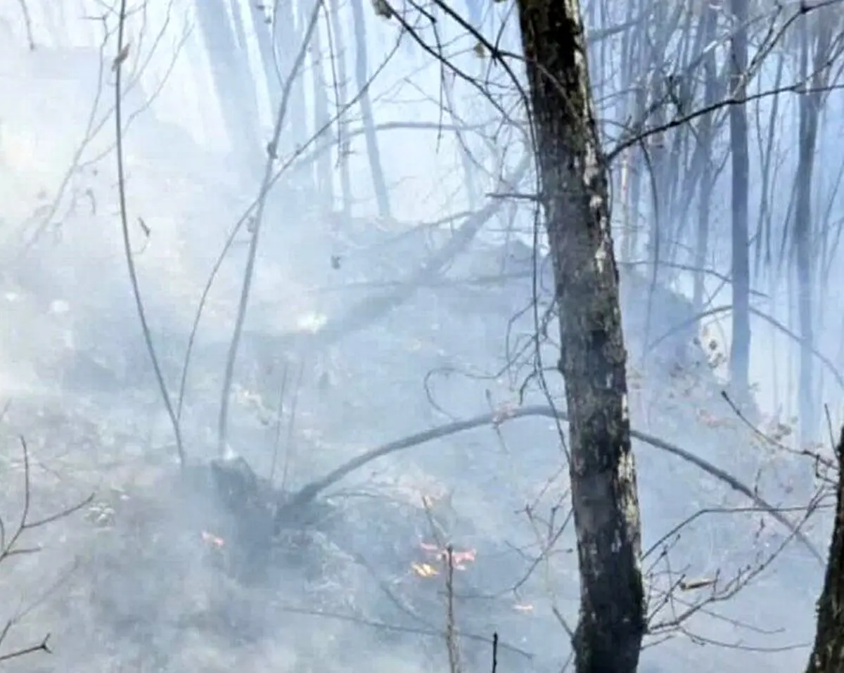 آتش‌سوزی جنگلهای دیزمار آذربایجان شرقی مهار شد