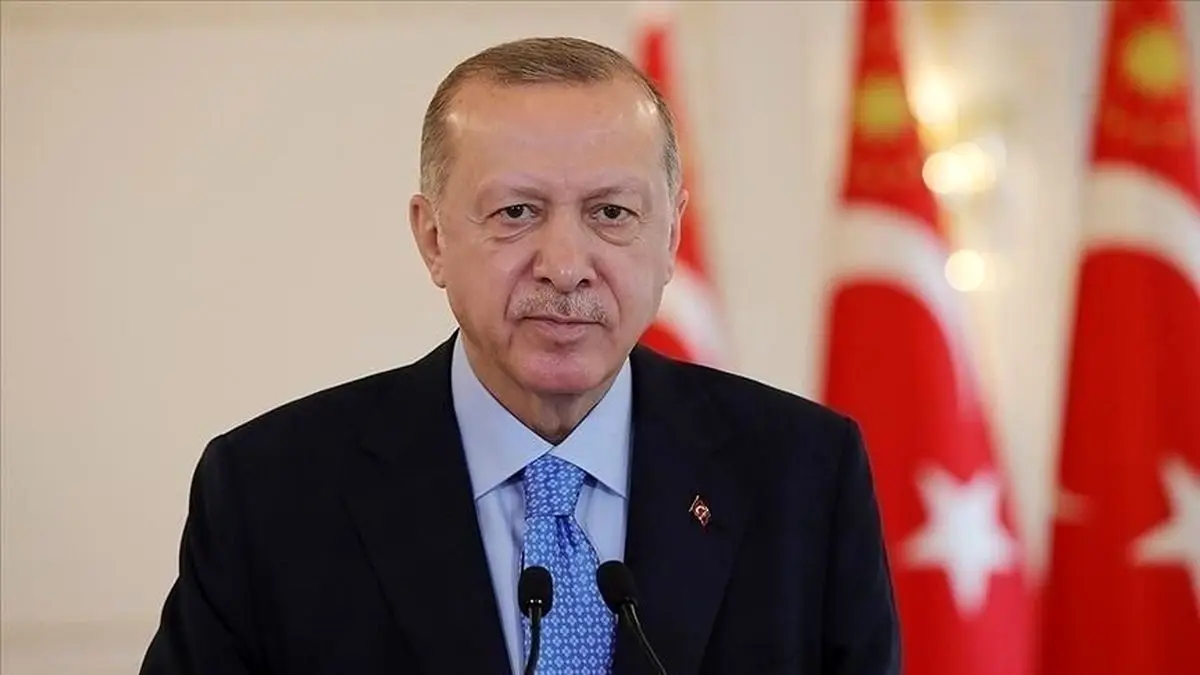 اردوغان: تلاش‌های ترکیه بر انجام دیداری میان پوتین و زلنسکی متمرکز است
