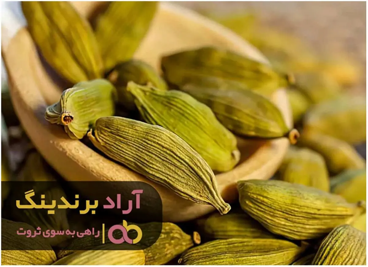 مراکز خرید هل سبز شبانه روزی شد