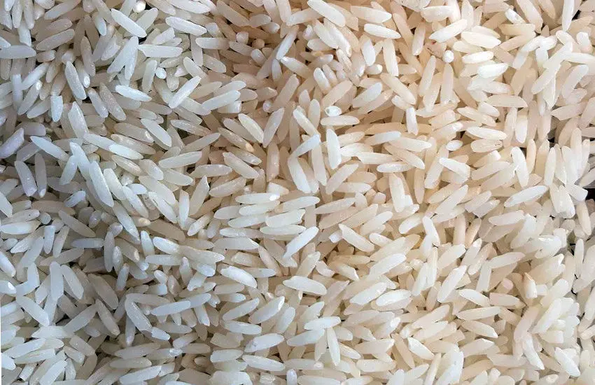 چگونه از شر شپشک برنج خلاص شویم؟