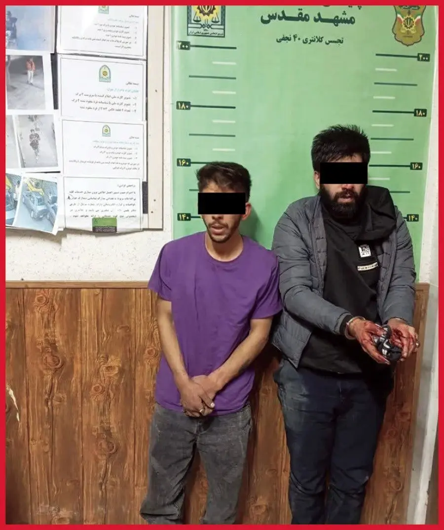 سرقت،خودروي،پژو،خيابان،مدادي،بولوار،سرقتي،نوك،كلانتري،سارقان ...