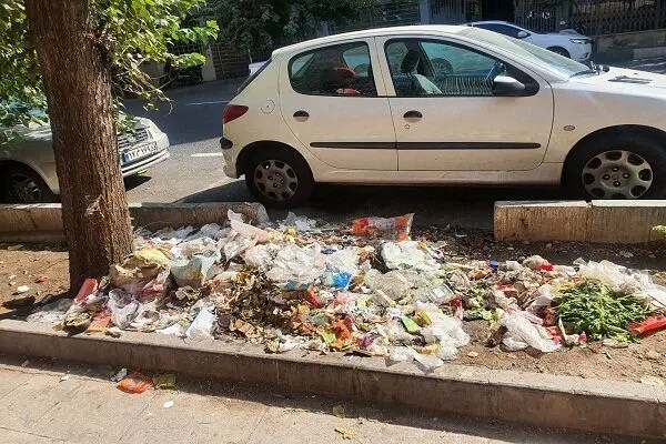 امنیتی شدن سطل‌های زباله، چهره تهران را زشت کرد