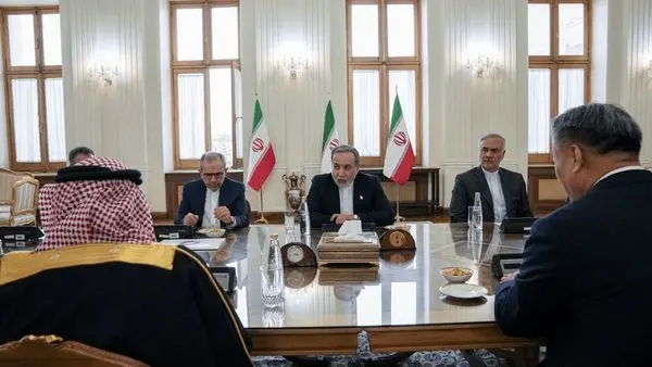 خارجه،چين،امور،وزير،ايران،عربستان،روابط،كشورهاي