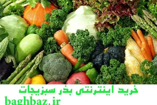 چگونه بذر سبزیجات را بکاریم؟