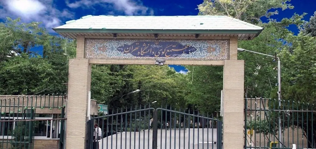 لغو آموزش مجازی ادامه نیمسال دوم دانشگاه تهران؛ کلاس‌ها حضوری شد