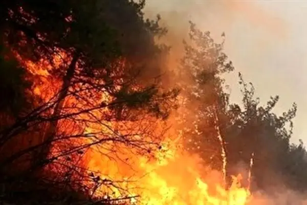 شینا انصاری: ۲ هواپیما، یک بالگرد و ۸ نیروی متخصص از ترکیه برای مهار آتش‌سوزی چالوس اعزام می‌شود/ در صورت نیاز از روسیه هم کمک می‌گیریم