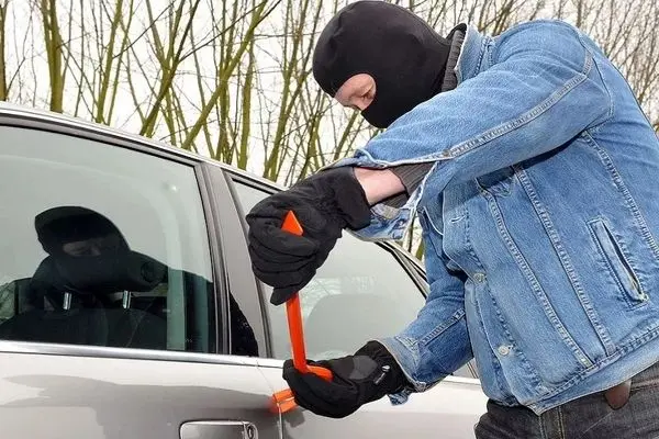 زن و شوهر سارق به هدف‌شان نرسیدند