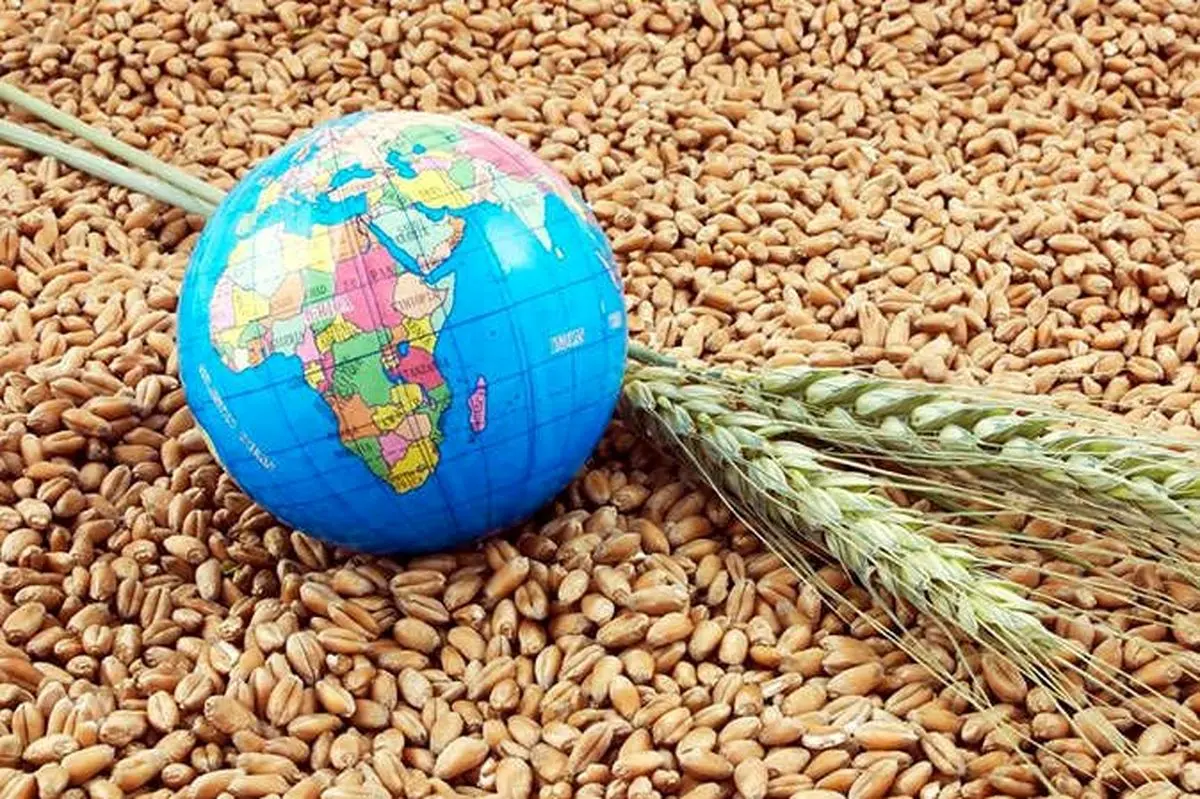امنیت غذایی جهان در خطر است/ هشدار ۴ نهاد وابسته به سازمان ملل
