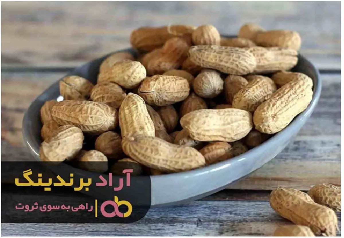 بادام زمینی غلاف دار را از کجا بخریم؟