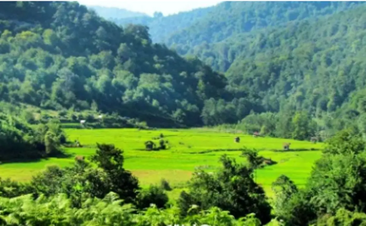 ماجرای انفجار مهیب در منطقه شکار ممنوع سوادکوه چه بود؟ + فیلم