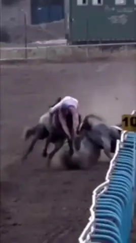 اسب
