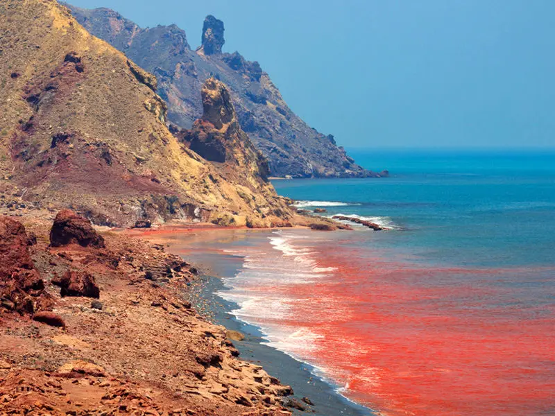 جنوب،سفر،محلي،موسيقي،فرهنگ،جزاير،غذاهاي،طبيعت،ايران،قشم،بوشه ...