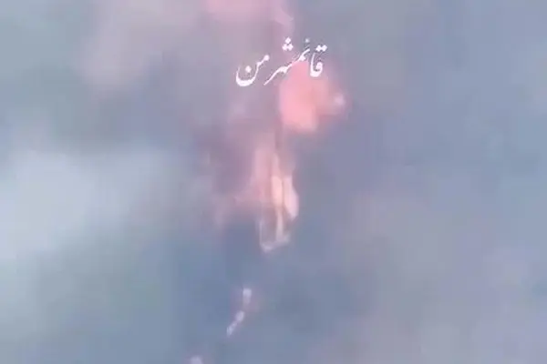 ببینید| گریه‌های جنگلبانان هنگام سوختن درختان چندهزارساله جنگل‌ هیرکانی