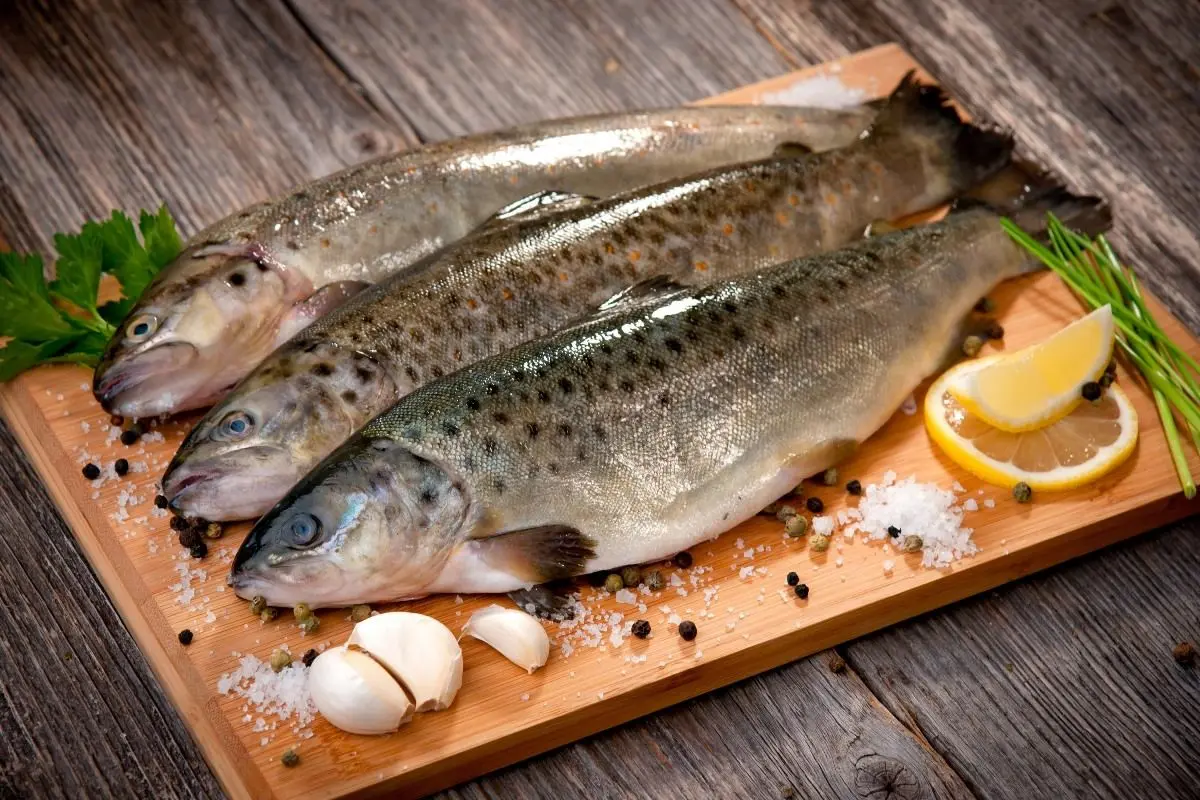 افزایش ۷۷ درصدی قیمت ماهی قزل‌آلا / کنسرو ماهی تن ۲۲ درصد گران شد