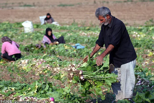 امهال و بخشودگی سود وام‌های کشاورزان خسارت‌دیده خوزستان