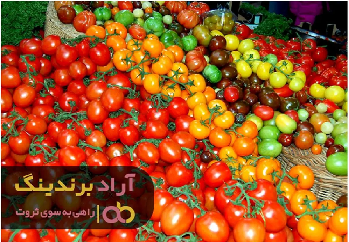 برای ثروتمند شدن چه راهکارهایی وجود دارد؟