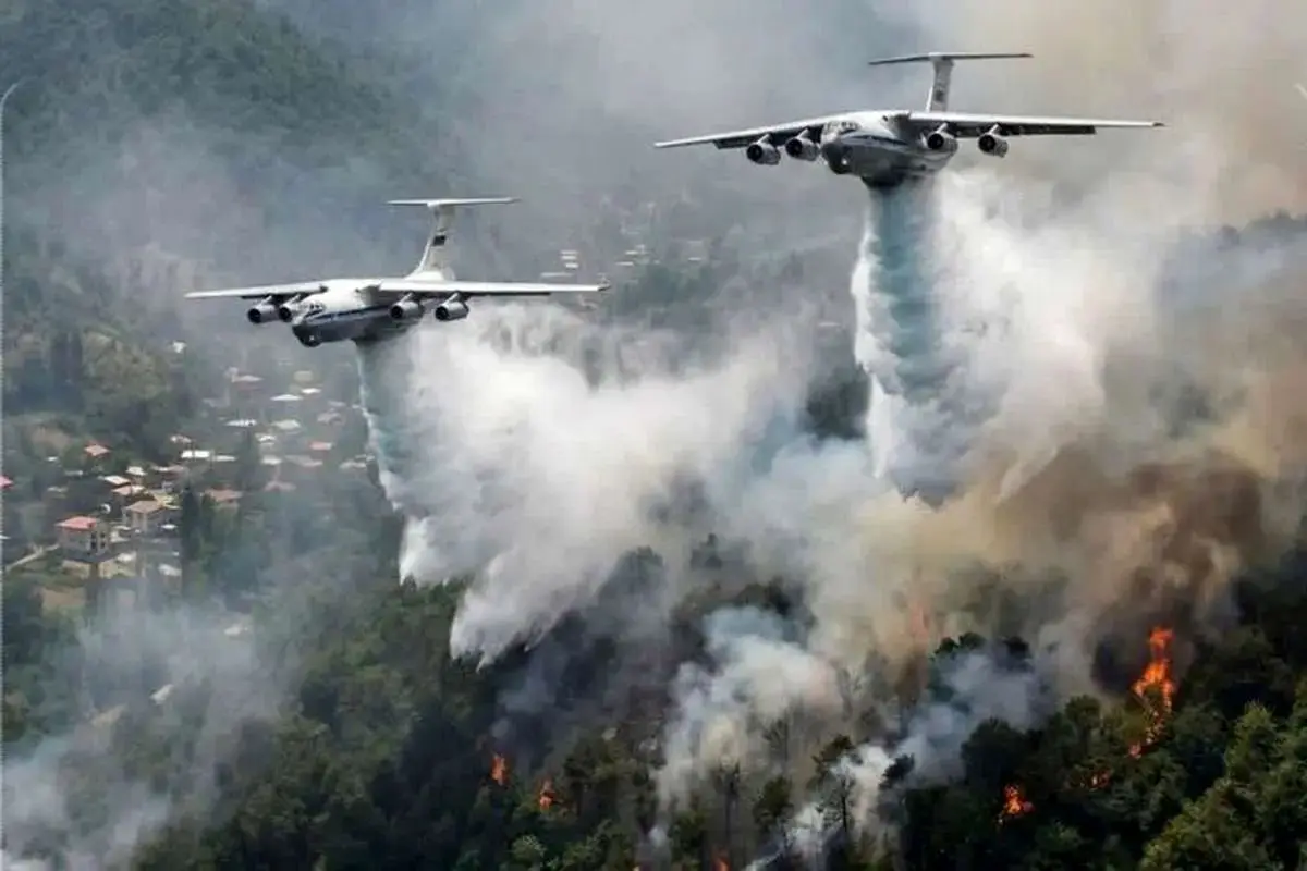 پاسخ سازمان محیط‌زیست به گزارش مجلس درباره آتش‌سوزی جنگل‌های الیت: تقلیل آتش‌سوزی به «چوب‌های افتاده» می‌تواند به مشروعیت‌بخشی به برداشت چوب از جنگل‌های بکر منجر شود