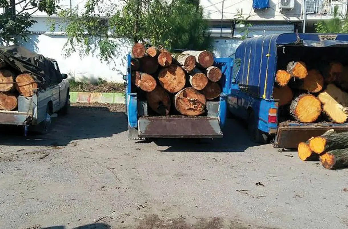 کشف قاچاق چوب در ساری؛ 4 تن چوب جنگلی توقیف شد