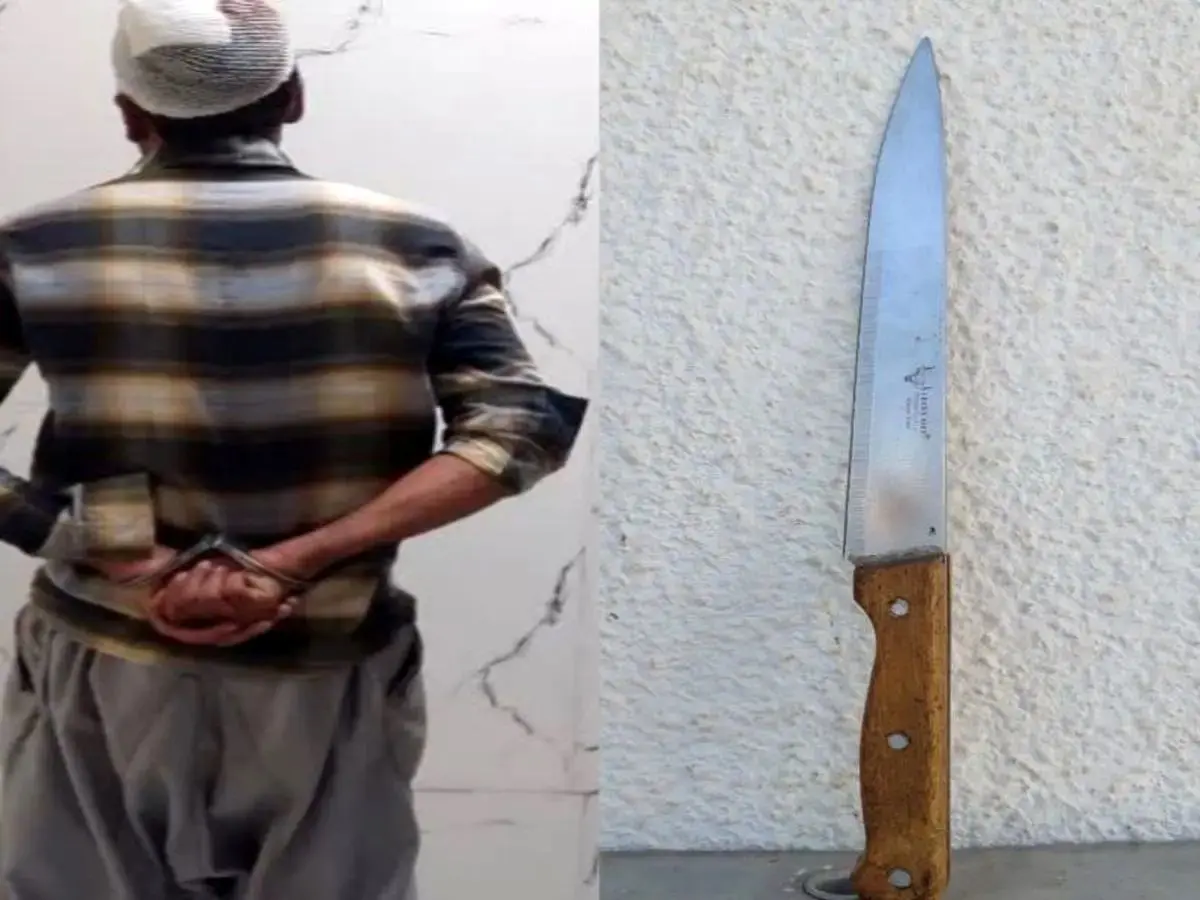 برادر،قتل،فسا،39،تسليم،خانوادگي،اختلاف