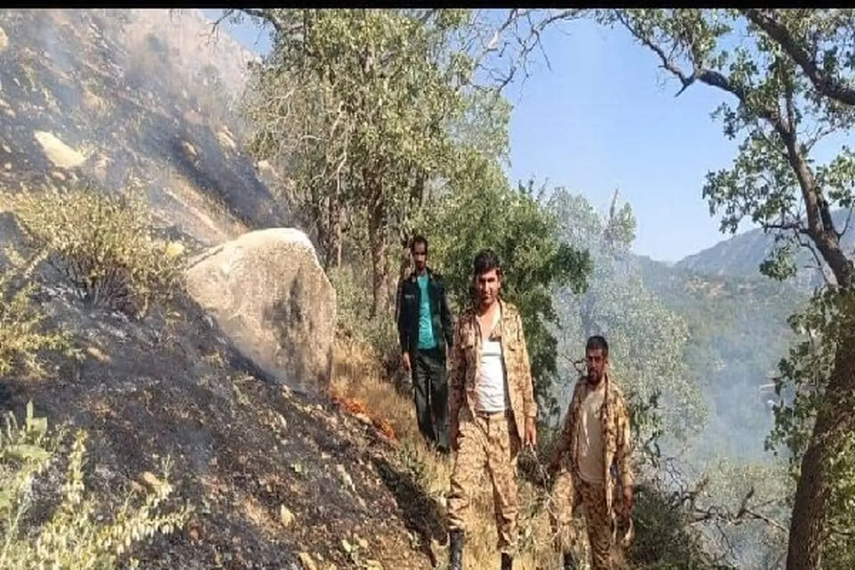 مهار آتش سوزی در منطقه لوداب