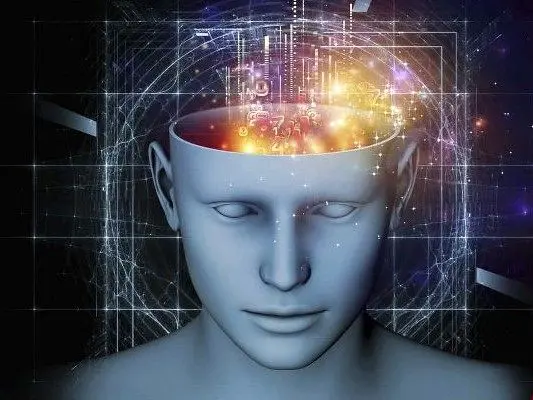 مغز،حس،تجربه،حافظه،آشنايي،ذهن،پردازش،رخ،اطلاعات،انسان،خاطره، ...