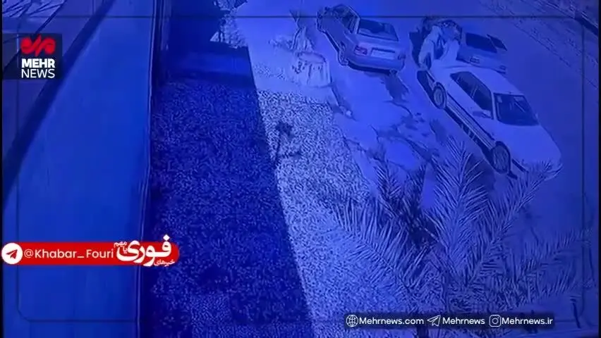 زاهدان،ويديو،عمدي،محل،مستغلات،ناشناس